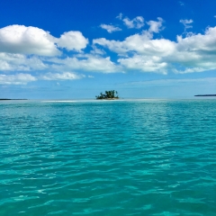 Bimini