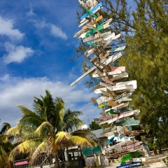 The Signpost, Chat ‘n Chill Beach