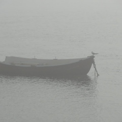 Misty Santander