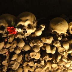 Cimitero delle Fontanelle, Naples
