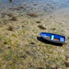 In Harbour
