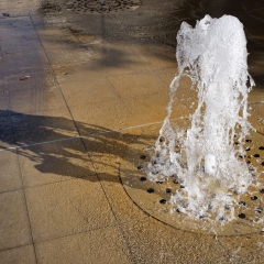 DSCF0755