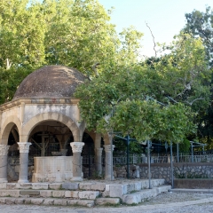 The Plane Tree of Hippocrates, Kos