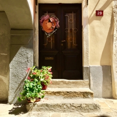 Number 29, Izola