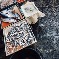 Catania Fish Market
