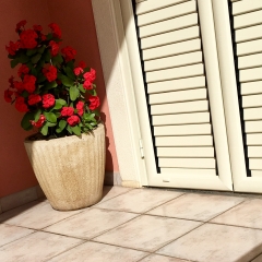 Sunshine & Flowers in Marina di Ragusa