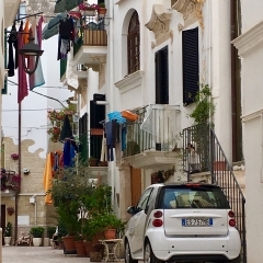 Life in Monopoli